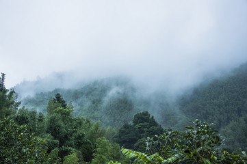 冒险岛私服发布网