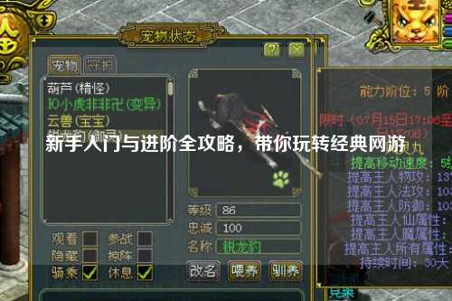 新手入门与进阶全攻略,带你玩转经典网游