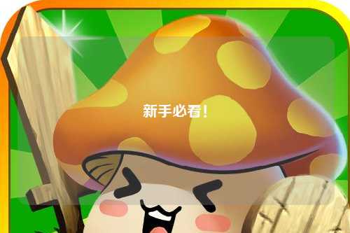 新手必看!