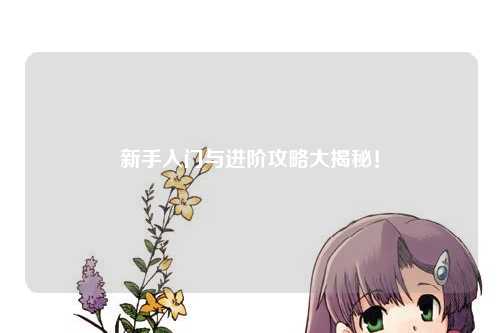 新手入门与进阶攻略大揭秘!