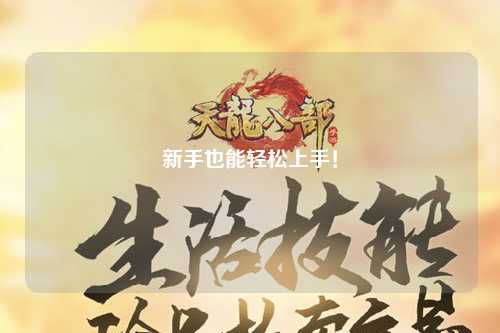 新手也能轻松上手!