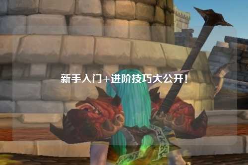 新手入门+进阶技巧大公开!