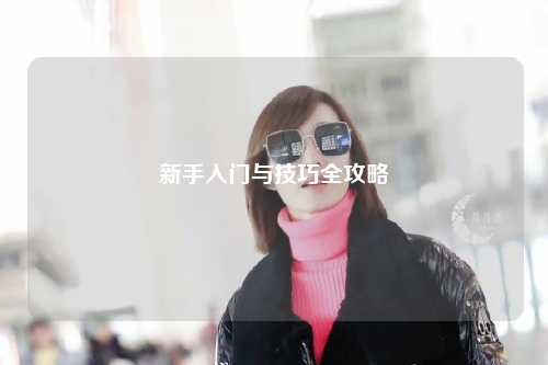 新手入门与技巧全攻略