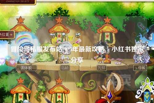 冒险岛私服发布站2025年最新攻略 | 小红书独家分享