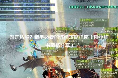 刚开私服？新手必看的详细攻略指南（附小红书风格分享）
