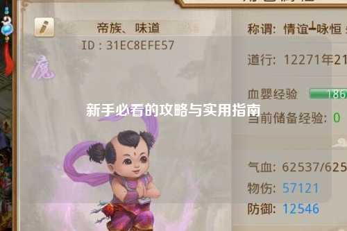 新手必看的攻略与实用指南